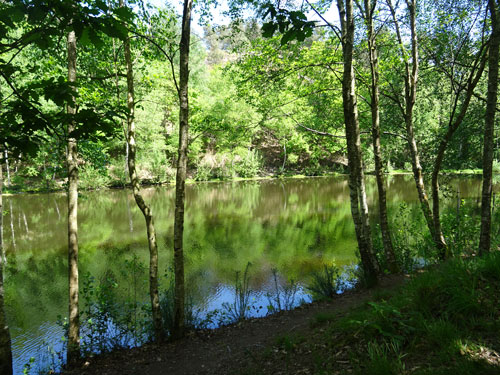 Photo de nature inspirant la santé et la naturopathie