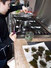 Photo cuisine des plantes sauvages et beignets d'orties par sandrine Loyer naturopathe